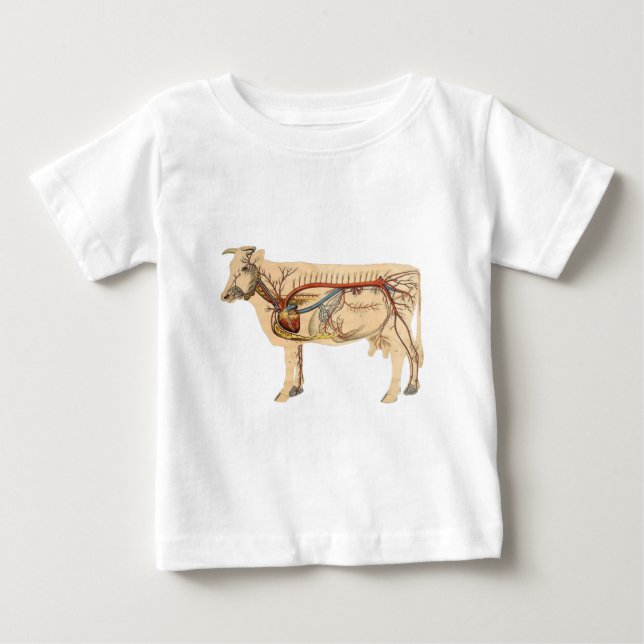 Camiseta Para Bebê Vaca-branca anatômica (Frente)