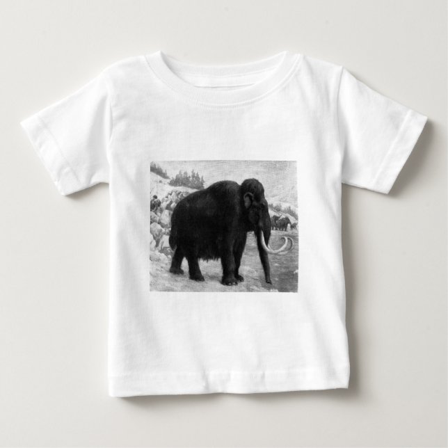 Camiseta Para Bebê Wooly Mammoth Mod Destiny (Frente)