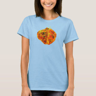 Camiseta parágrafo