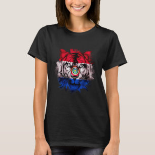 Camiseta Paraguai