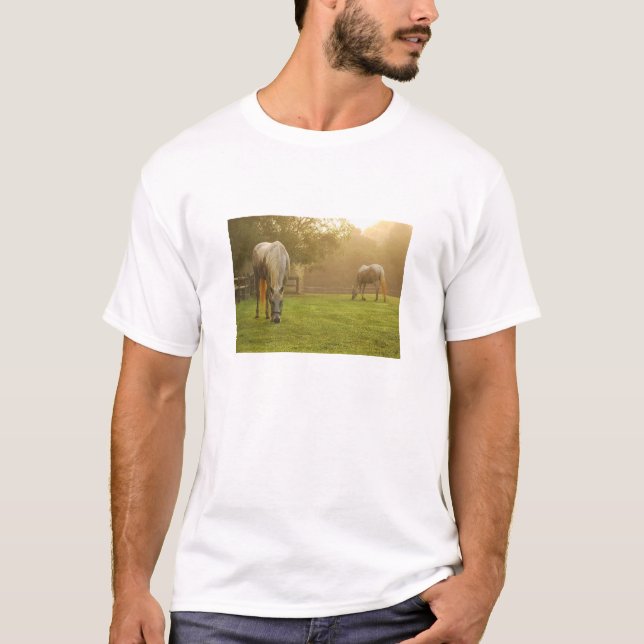 Camiseta Paraíso dos amantes do cavalo (Frente)