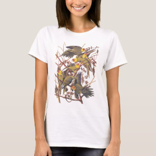 Camiseta Parakeet de Carolina de Audubon