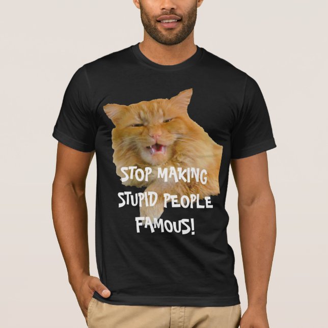 Camiseta Parar Gato Laranja Famoso De Pessoas Estúpidas De  (Frente)