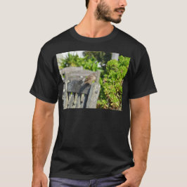 Camiseta Pardal Atrevido
