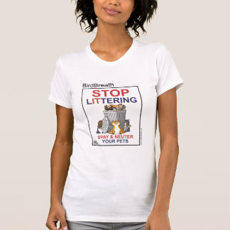 Camiseta Pare de desarrumar