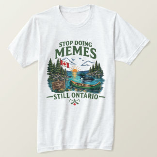 Camiseta Pare de Fazer Memes Ainda Lago Ontário Engraçado C