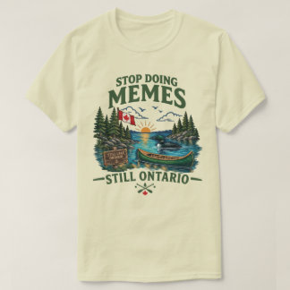 Camiseta Pare de Fazer Memes Ainda Lago Ontário Engraçado C