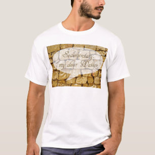 Camiseta Parede de calcário e piada de Geologia ruim