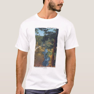 Camiseta Parque da montanha de Denver, CO - garganta da