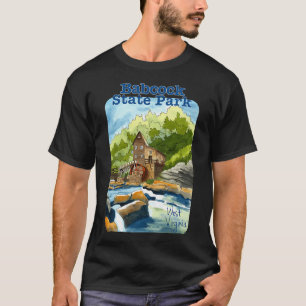 Camiseta Parque Estadual Babcock, Virgínia Ocidental