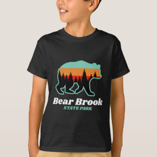 Camiseta Parque Estadual Bear Brook New Hampshire Montanhas