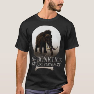 Camiseta Parque Estadual Big Bone Lick