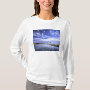 Camiseta PARQUE ESTADUAL DA PRAIA POPHAM, MAINE. EUA. Cirru