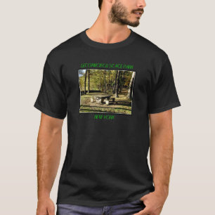 Camiseta Parque estadual de Letchworth - rocha da mesa de
