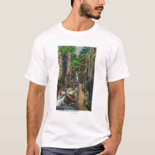 Camiseta Parque estadual do entalhe de Franconia