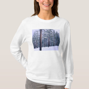 Camiseta PARQUE ESTADUAL DO LAGO TAHOE, NEVADA. EUA. Neve f