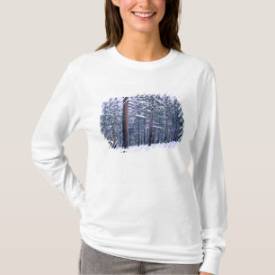 Camiseta PARQUE ESTADUAL DO LAGO TAHOE, NEVADA. EUA. Neve f