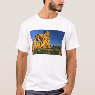 Camiseta Parque Estadual Medicine Rocks perto de Ekalaka Mo