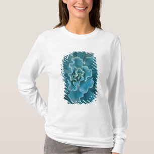 Camiseta Parque Golden Gate de São Francisco, Califórnia, e