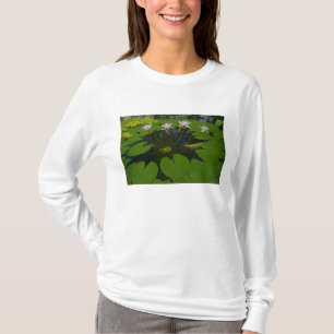 Camiseta Parque Golden Gate de São Francisco Califórnia e