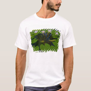 Camiseta Parque Golden Gate de São Francisco Califórnia e