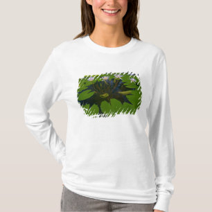 Camiseta Parque Golden Gate de São Francisco Califórnia e