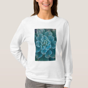 Camiseta Parque Golden Gate de São Francisco Califórnia e