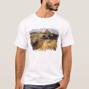 CAMISETA PARQUE NACIONAL CAPITOL REEF, UTAH. EUA.
