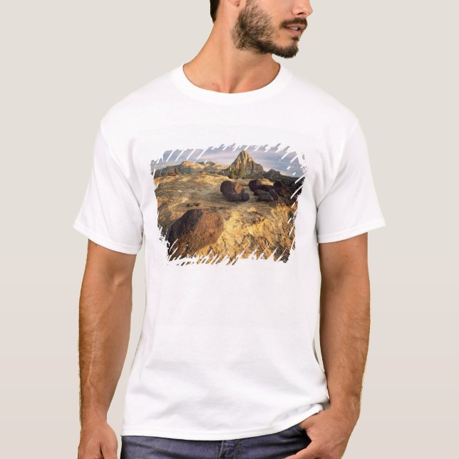 CAMISETA PARQUE NACIONAL CAPITOL REEF, UTAH. EUA. (Frente)