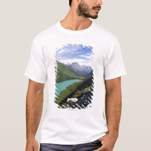 Camiseta Parque nacional de geleira, Montana