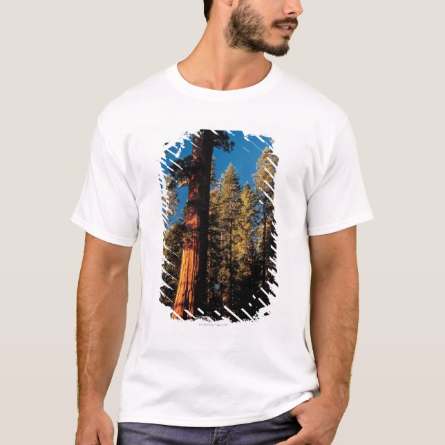 Camiseta Parque nacional de sequóia, Califórnia 2 (Frente)