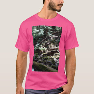Camiseta Parque Nacional de Waterfall Creek