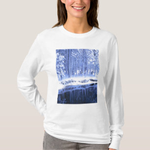 Camiseta PARQUE NACIONAL DE YOSEMITE, CALIFÓRNIA. EUA. Fres
