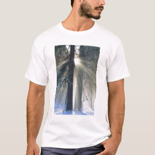 Camiseta Parque Nacional de Yosemite - Raios de sol fluindo