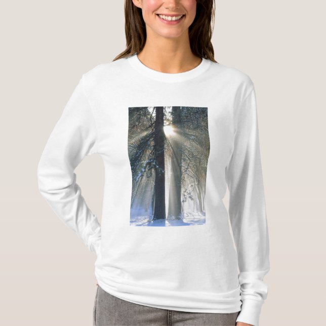 Camiseta Parque Nacional de Yosemite - Raios de sol fluindo (Frente)