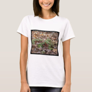 Camiseta Parque Nacional dos Quentes-Primaveras, AR - Trilh