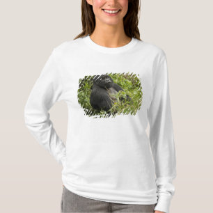 Camiseta Parque Nacional dos Vulcões, Gorila da Montanha