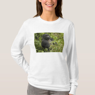 Camiseta Parque Nacional dos Vulcões, Gorila da Montanha