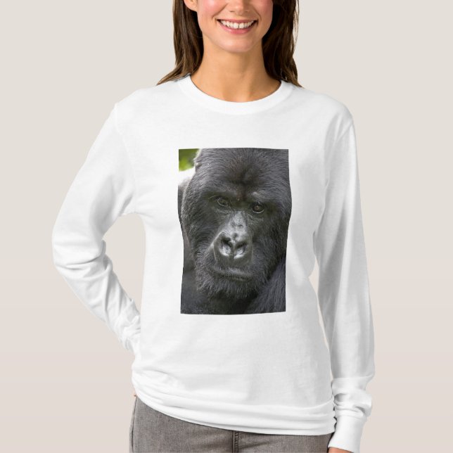 Camiseta Parque Nacional dos Vulcões, Ruanda, Gorilas da Mo (Frente)
