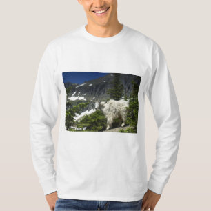 Camiseta Parque Nacional Glaciar
