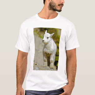 Camiseta Parque Nacional Glacier, Montana, EUA, Montanha