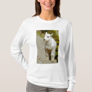 Camiseta Parque Nacional Glacier, Montana, EUA, Montanha