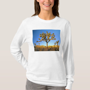 Camiseta Parque Nacional Joshua Tree, Califórnia. EUA.