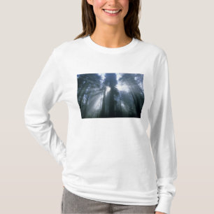 Camiseta Parque Nacional Redwood, Condado de Del Norte, neb