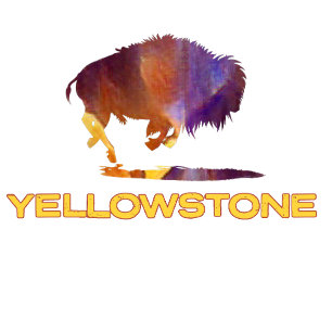 Camiseta Parque Nacional Yellowstone com urso