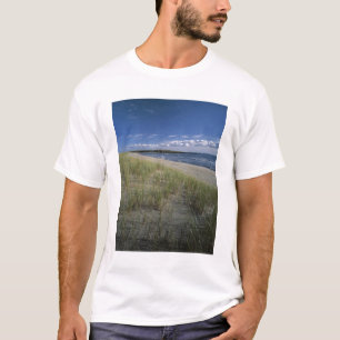 Camiseta Parque Provincial J.T. Chessman, Grama de duna
