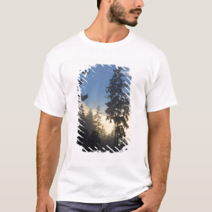 Camiseta Parque Stanley, florestas, nevoeiro da camada mari