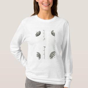 Camiseta Parte superior: Moeda Gaulish do anverso de Remes