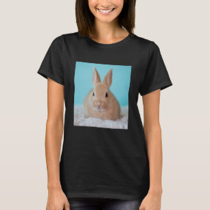 Camiseta Páscoa Coelho Coelho Adorável Coelho Azul Fundo
