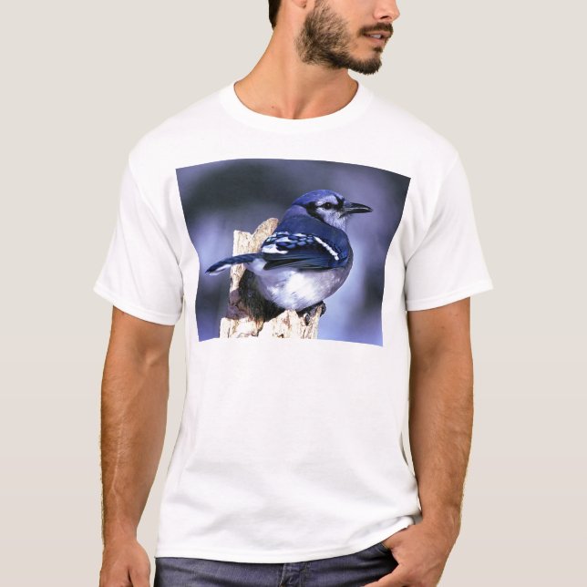 Camiseta Pássaro bonito de Jay azul (Frente)